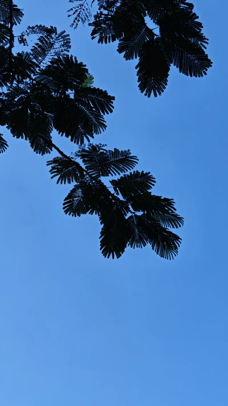 2025年