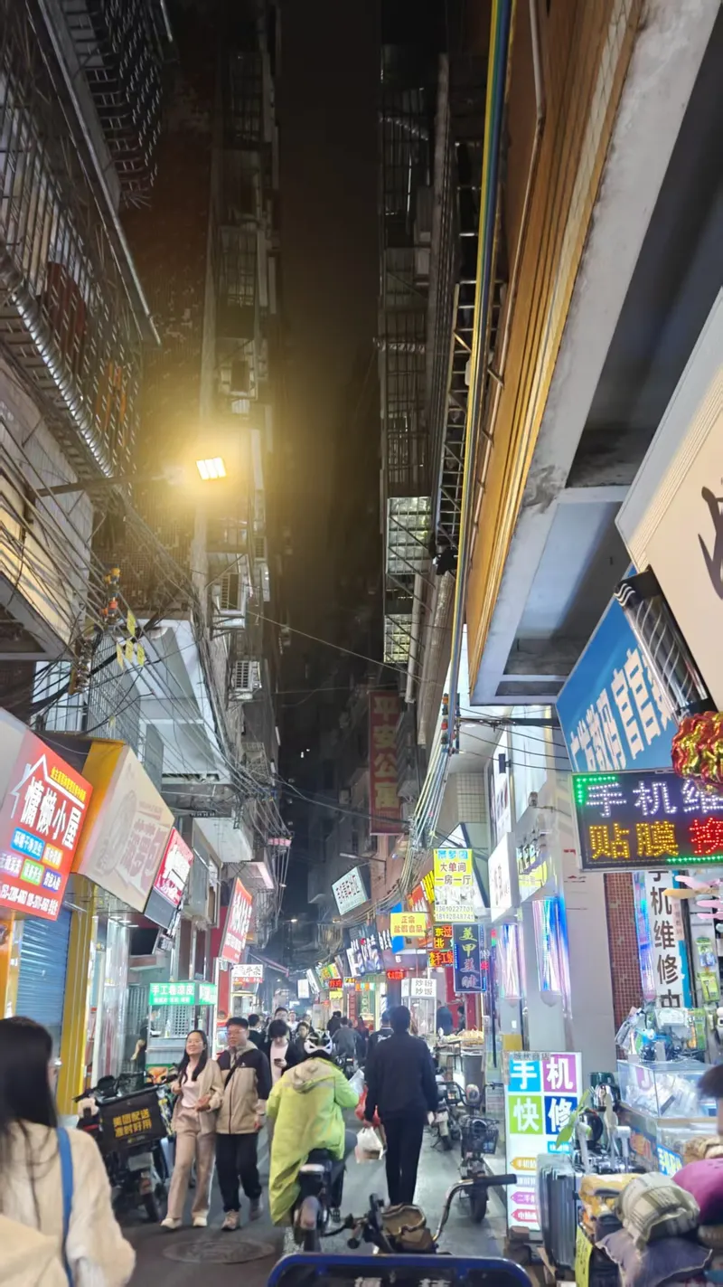 2025年
